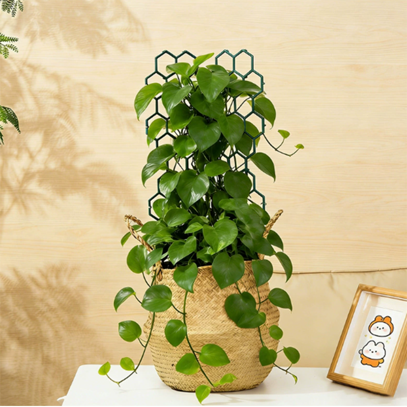 🌿 BEGRÆNSET TILBUD: 50 % RABAT! ✨ Plantegitter i bikubemønster – rustfrit, stabelbart, nemt at montere 🐝