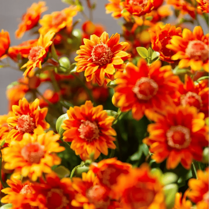 💥Sidste dag! Kun 26 SEK pr. stk - Kunstige udendørs blomster "Sunset Mums" - UV-bestandige, vandtætte og vindbestandige