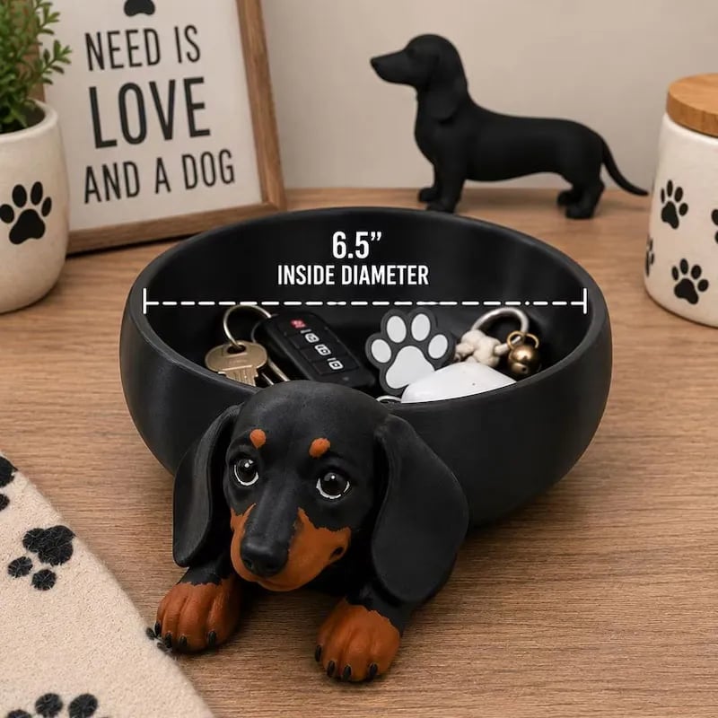 Opbevaringsbakke til dachshund-ting