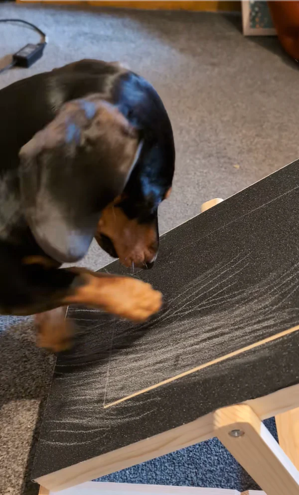 Kløpæl til hunde i træ