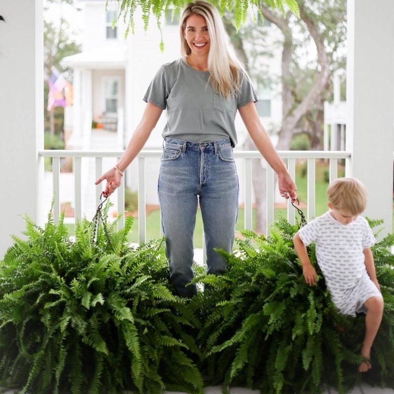 🌱 UV-bestandig, naturtro kunstig bostonbregne