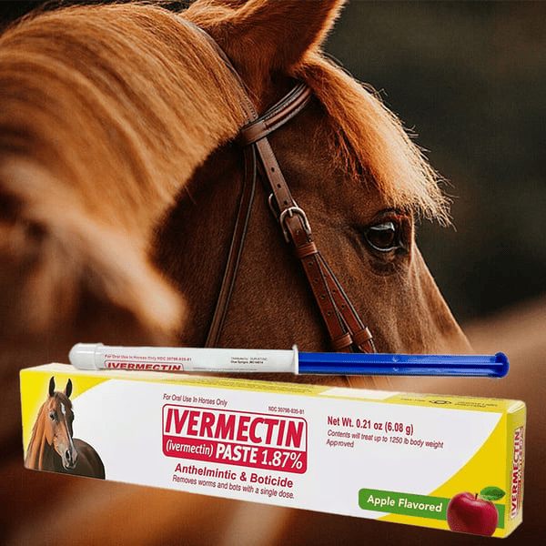 Ivermectin hestepasta 1,87% 6,08 g knold