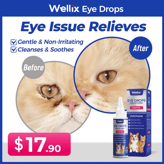 PET hundeøjendråber, øjendråber til hunde og katte🐶😸