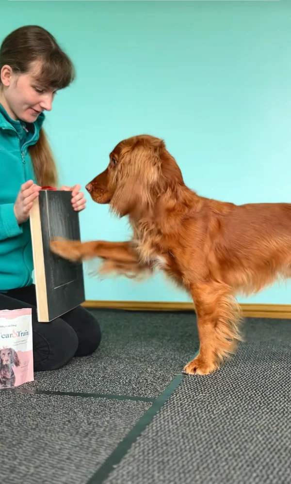 Kløpæl til hunde i træ