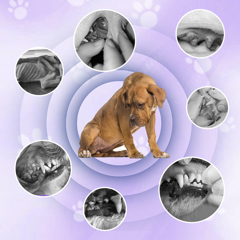 Pet tandbørstepen til rengøring