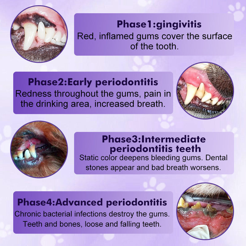 Pet tandbørstepen til rengøring
