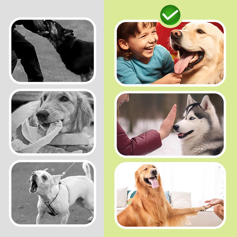 🐕‍🦺 BEGRÆNSET TILBUD: 50 % RABAT! ✨ Kompakt ultralydsafskrækkeren til hunde – sikker og bærbar ✨